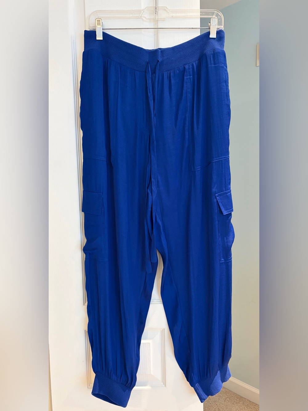 Naked Zebra Electric Blue Cargo Jogger Pants